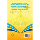 Back to the Beis HaMikdash