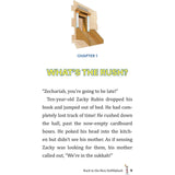 Back to the Beis HaMikdash