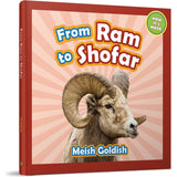 From Ram to Shofar