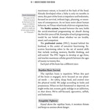 Raising Spiritual Champs