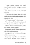 Rhymes and Riddles