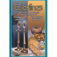 The Bar Mitzvah and Tefillin Handbook - 9781614658344 - Menucha Publishers  Inc.