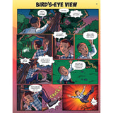 Bird's-Eye View