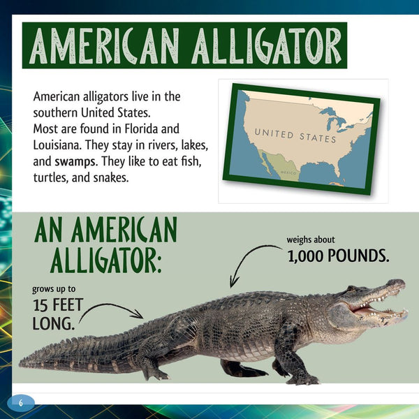 Crocodiles and Alligators: And Their Food - Lerner Publishing Group