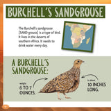 And the Winner Is...Who Goes the Longest without Water in the Desert