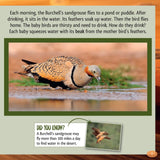 And the Winner Is...Who Goes the Longest without Water in the Desert