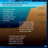 And the Winner Is...Who Hunts Deepest in the Ocean?