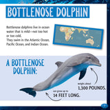 And the Winner Is...Who Hunts Deepest in the Ocean?