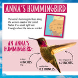 And the Winner Is...Who Is the Fastest Bird in the Sky?