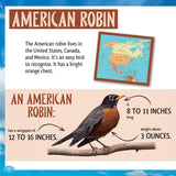 And the Winner Is...Who Is the Fastest Bird in the Sky?