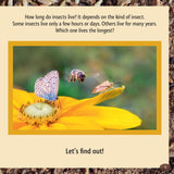 And the Winner Is...Who Is the Longest Living Insect on Earth?