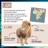 And the Winner Is...Who Is the Loudest Animal in the World