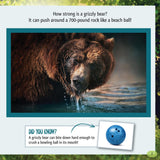 And the Winner Is...Who Is the Strongest Animal in the Forest?