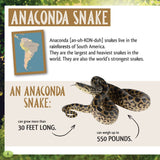 And the Winner Is...Who Is the Strongest Animal in the Forest?