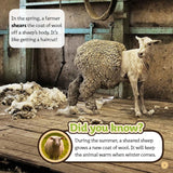 From Wool to Tallis