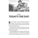 Mister Lister (Paperback)