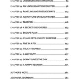 The Feldman Five #1 Underground Adventure