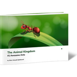 The Animal Kingdom #1 Awesome Ants