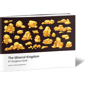 The Mineral Kingdom #1 Gorgeous Gold!