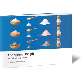 The Mineral Kingdom #4 Salt of the Earth