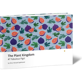 The Plant Kingdom #7 Fabulous Figs