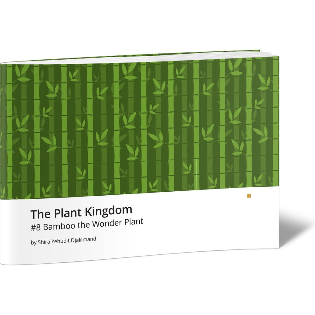 The Plant Kingdom #8 Bamboo the Wonder Plant