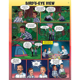 Bird's-Eye View