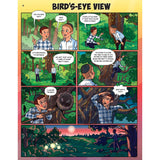 Bird's-Eye View