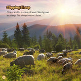 From Wool to Tallis